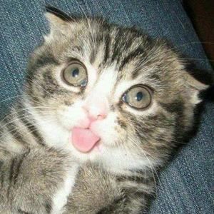 Meet your Posher, Billy